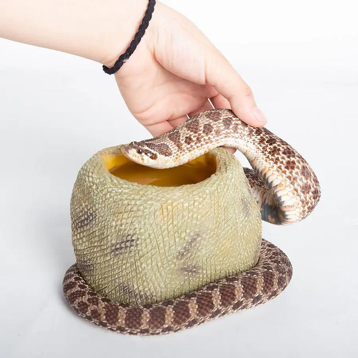 Reptizoo Snake Water Dish Decor