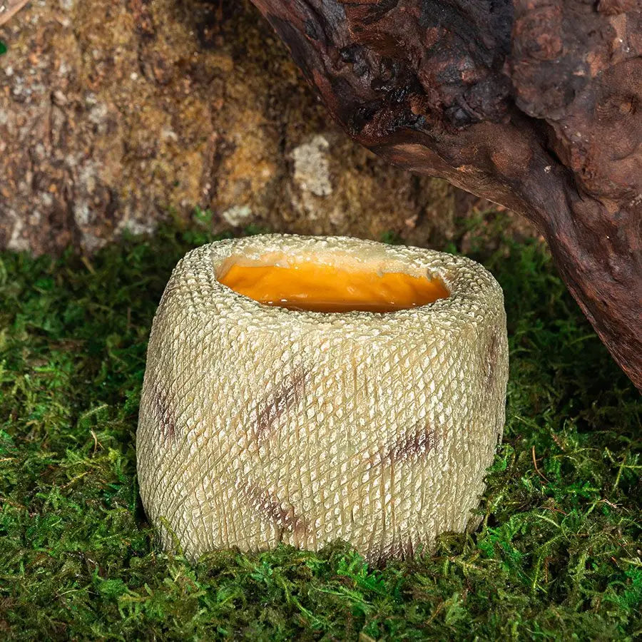 Reptizoo Snake Water Dish Decor