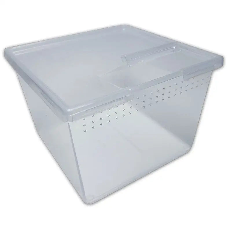 Buy Square Container Flip Lid 24oz online