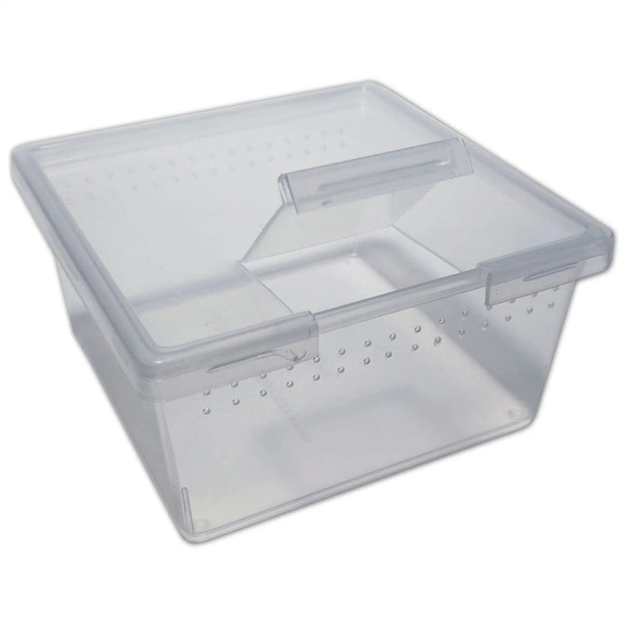 Buy Square Container Flip Lid 7oz (TMT105-025) Online at £29.09 from Reptile Centre