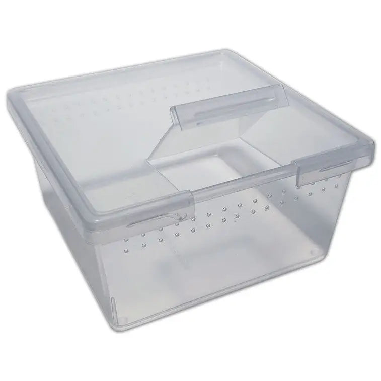 Buy Square Container Flip Lid 7oz (TMT105-025) Online at £29.09 from Reptile Centre