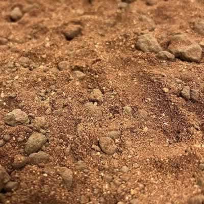 Hermann's Tortoise Substrate