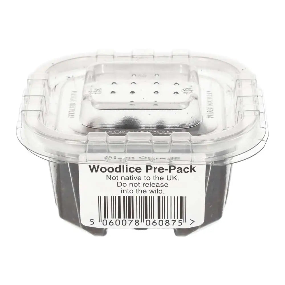 Buy T- Albino Isopods online