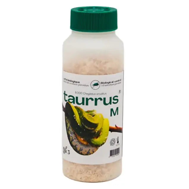 Buy Taurrus Live Predatory Mites online