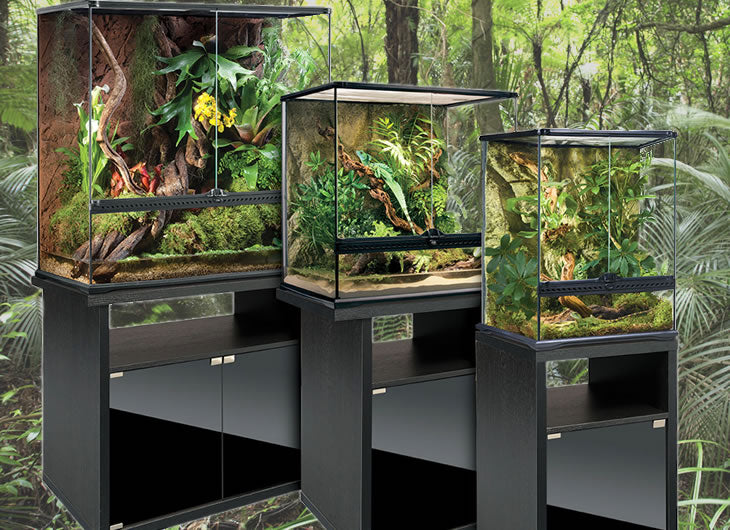 Terrarium Cabinet Stand at Kathleen Perry blog