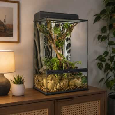 Crested Gecko Terrariums