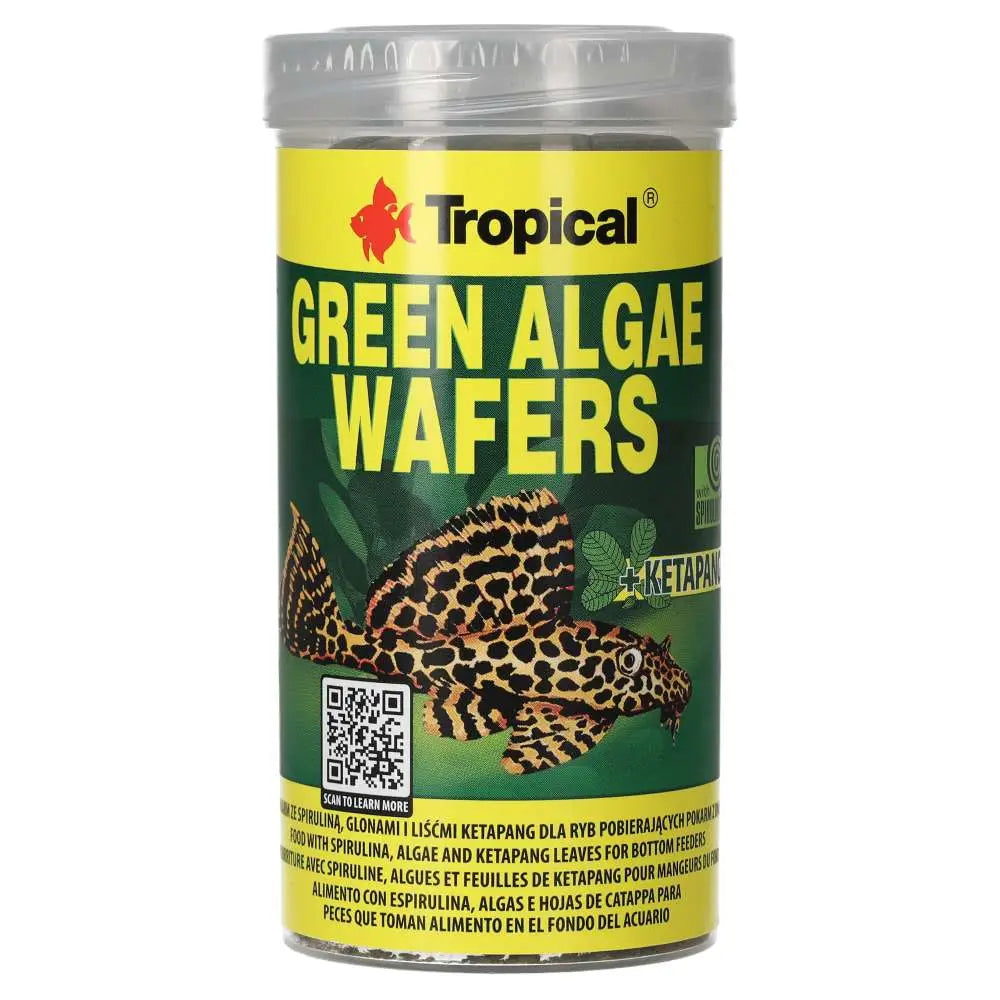 Buy Tropical Green Algae Wafers online