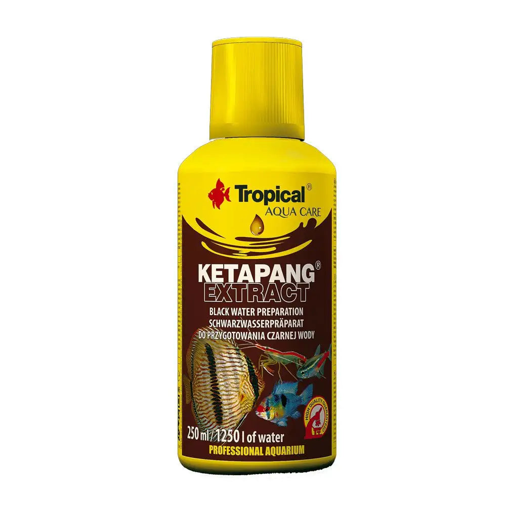 Buy Tropical Ketapang Extract online
