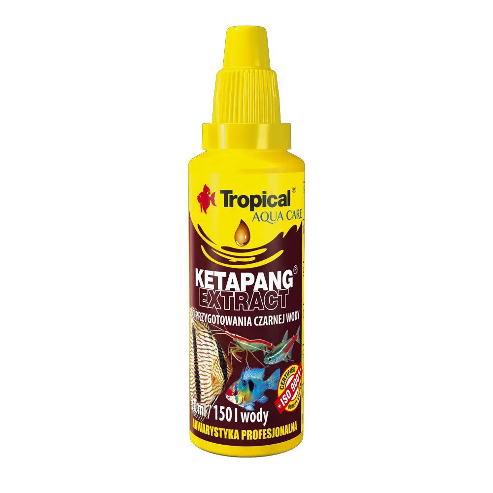 Buy Tropical Ketapang Extract online
