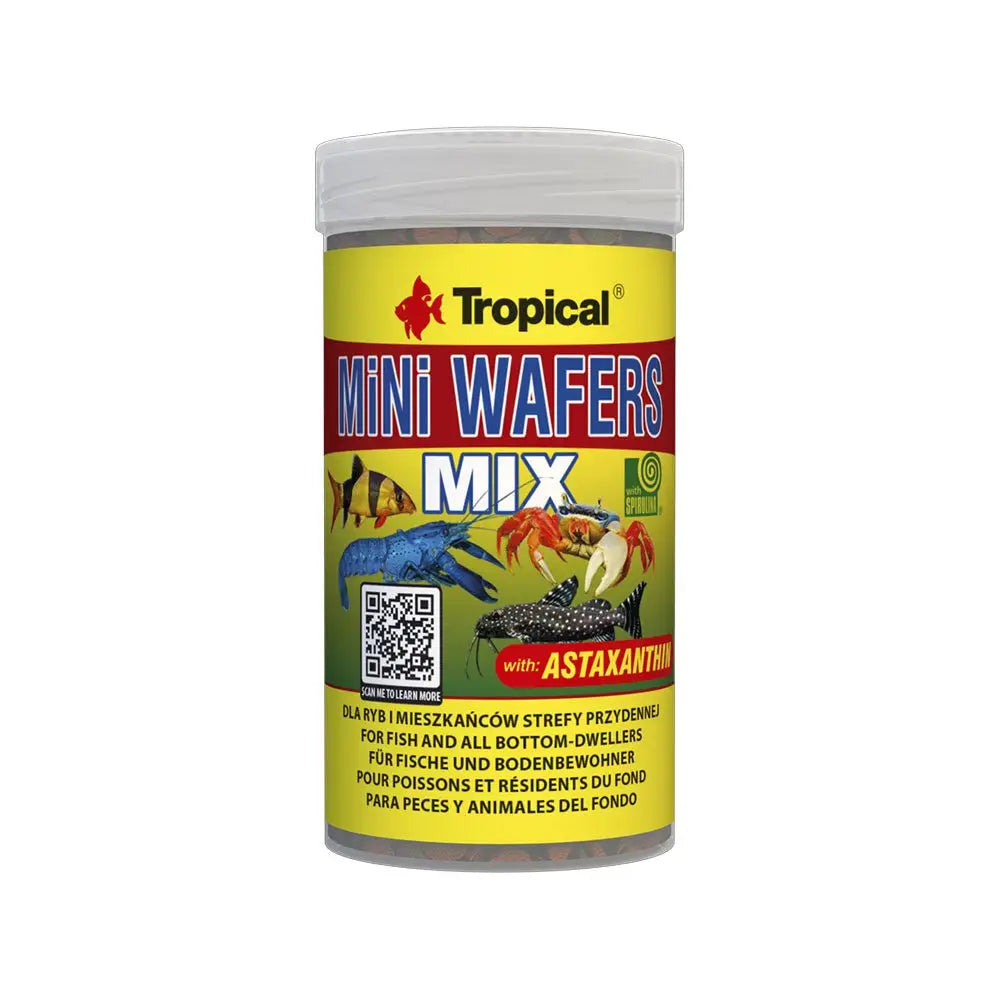 Buy Tropical MiNi Wafers Mix online