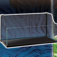 African Helmeted Turtle Housing