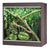Vivexotic Repti-Home Arboreal Vivarium - Medium 86x49x91.5cm  - Grey 