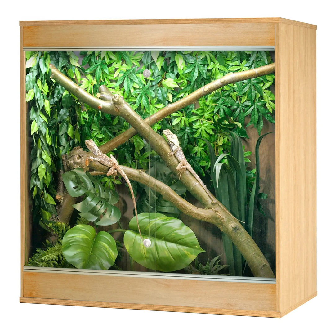 Buy Vivexotic Repti-Home Arboreal Vivarium - Medium 86x49x91.5cm (TVV600) Online at £199.99 from Reptile Centre