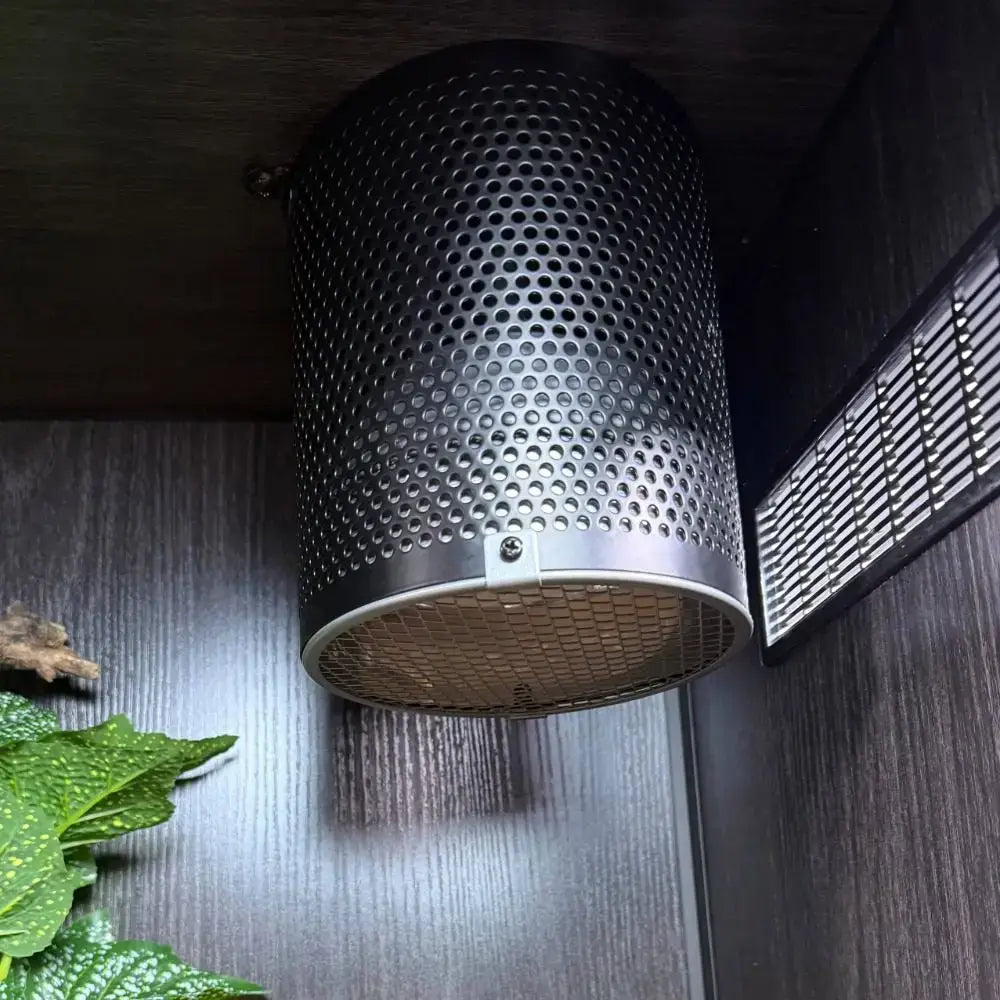 A Midnight Black White Python 4-in-1 lamp fixture with a ceramic lamp inside a ProRep Vivarium