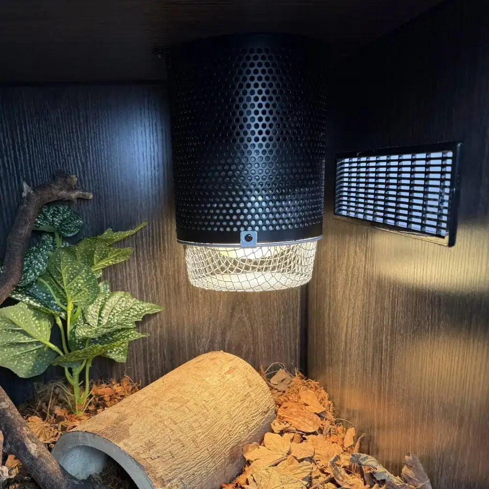A Midnight Black White Python 4-in-1 lamp fixture with a basking lamp inside a ProRep Vivarium