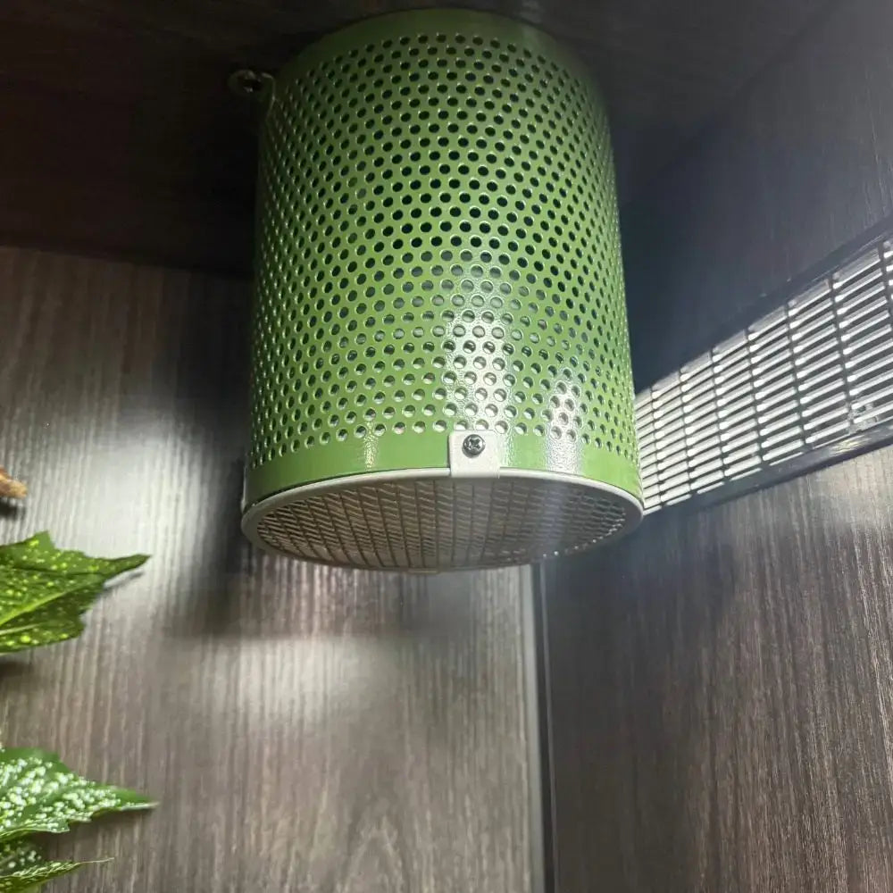 A Leaf Green White Python 4-in-1 lamp fixture with a ceramic lamp inside a ProRep Vivarium