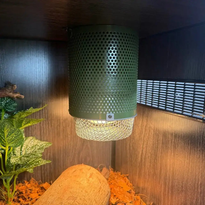 A Leaf Green White Python 4-in-1 lamp fixture with basking lamp in a vivarium
