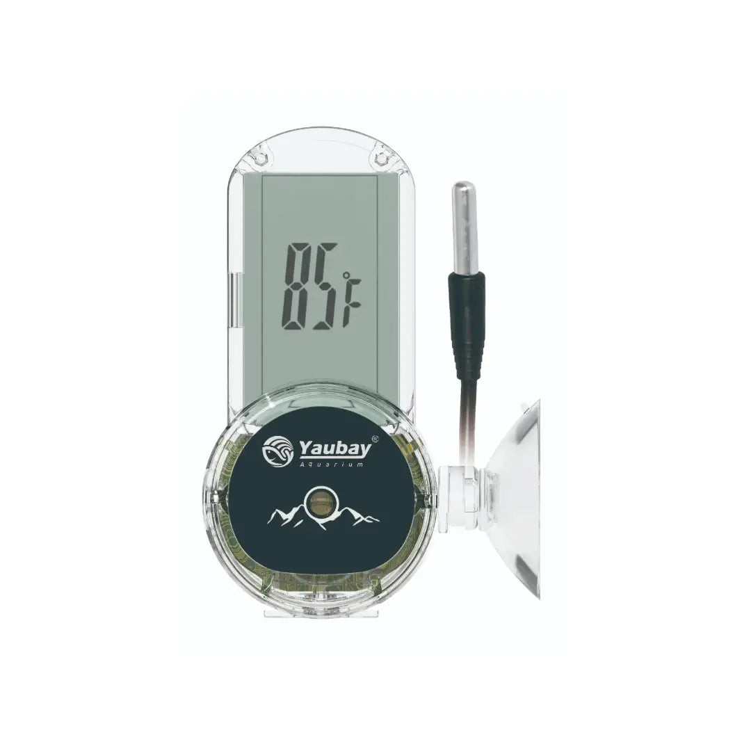 Buy YauBay LCD Digital Thermometer online