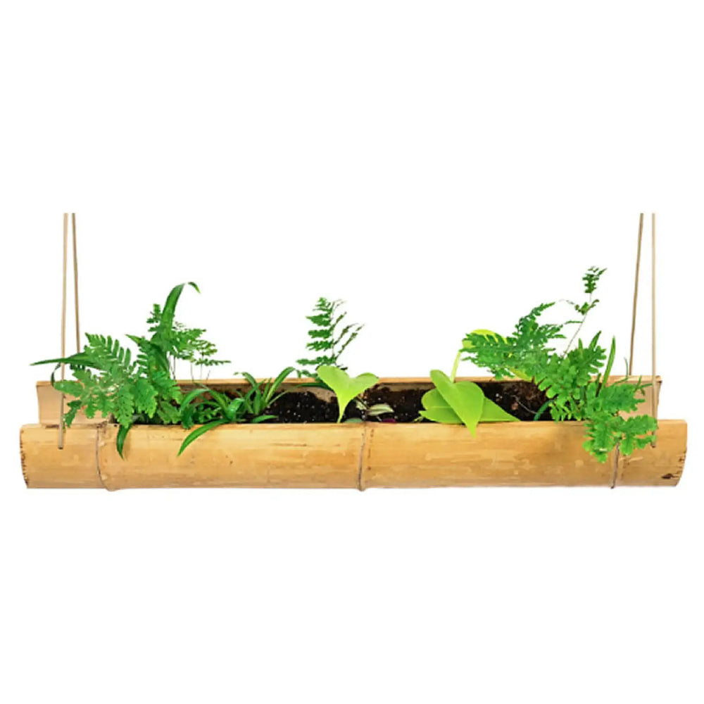 Zen Habitats Bamboo Planter Long 25’ Decor