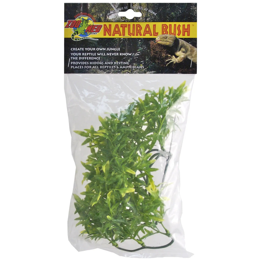 Buy Zoo Med Bolivian Croton (PZB030) Online at £4.09 from Reptile Centre