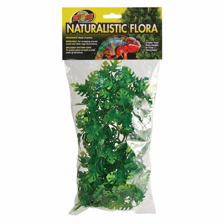 NATURAL BUSH AMAZONIAN PHYLLO PLANT NATURAL BUSH AMAZONIAN PHYLLO PLANT