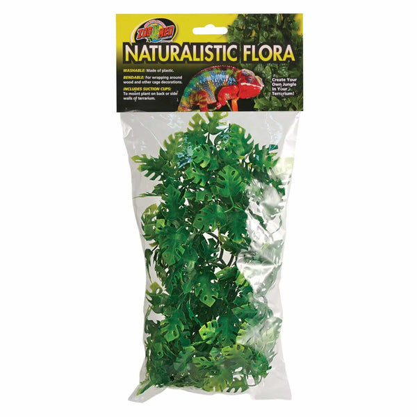 NATURAL BUSH AMAZONIAN PHYLLO PLANT NATURAL BUSH AMAZONIAN PHYLLO PLANT