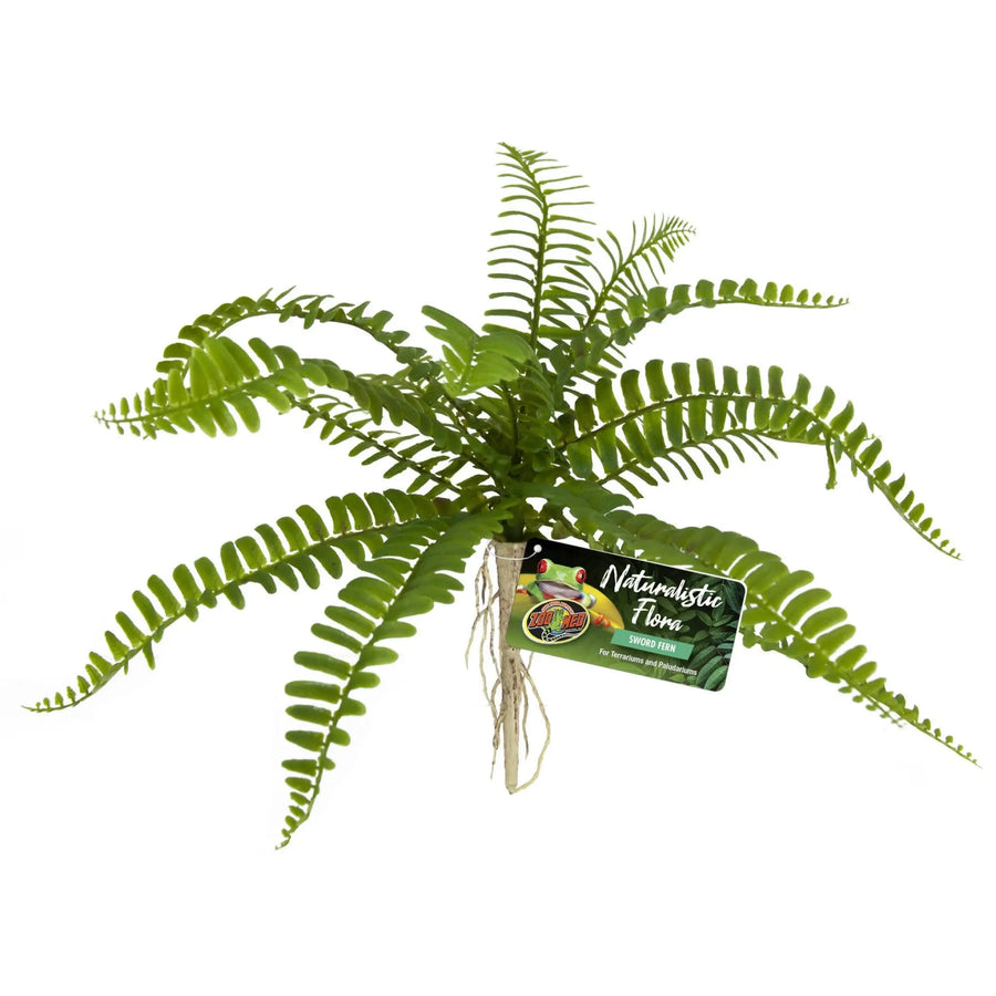 Buy Zoo Med Naturalistic Flora Sword Fern (PZA004) Online at £11.79 from Reptile Centre